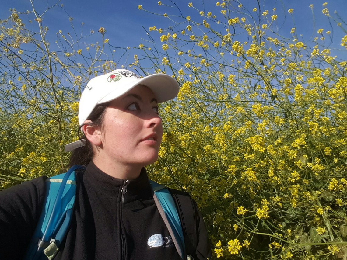 wp-1462050288359 image