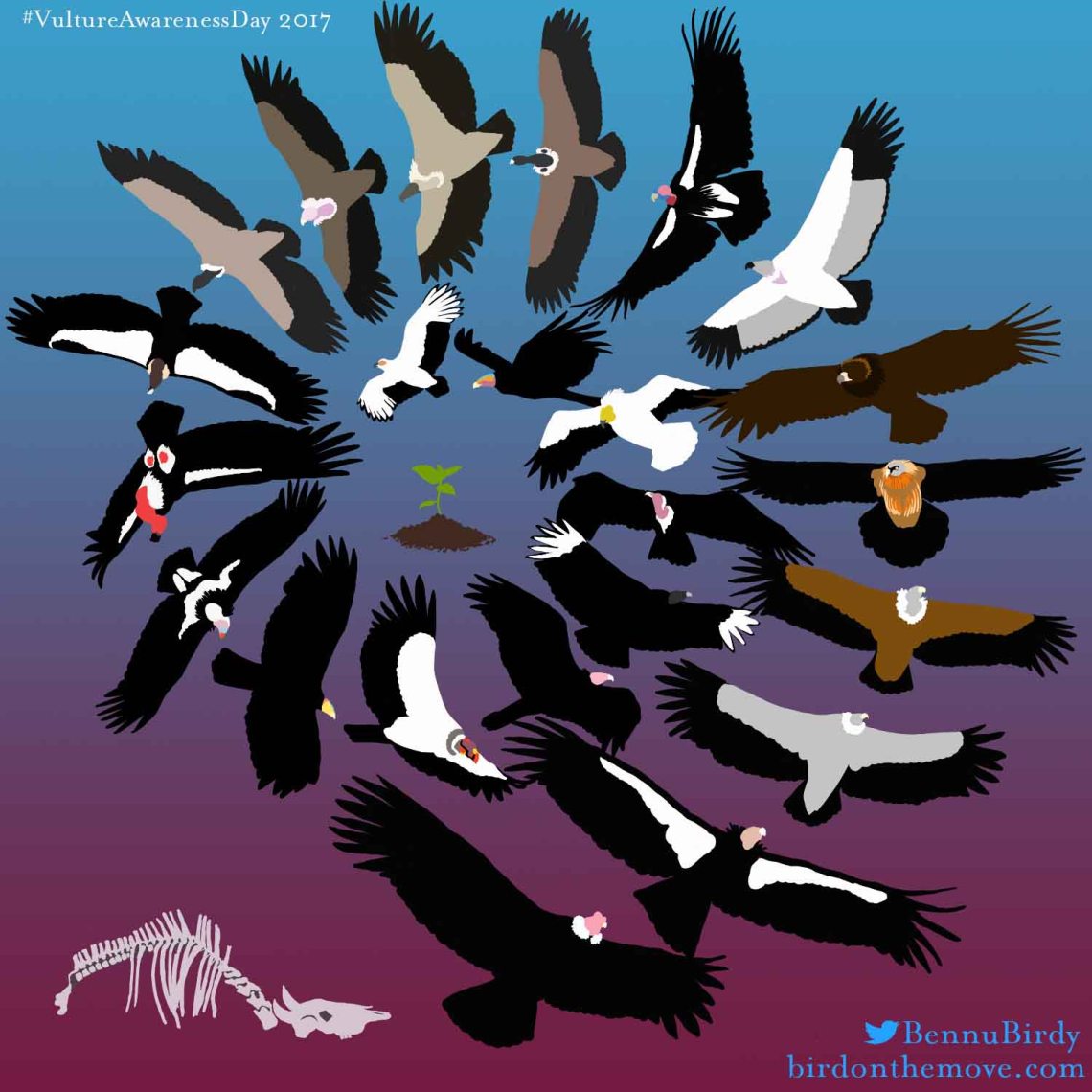 Vulture_circle