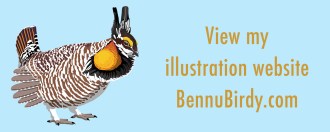 illustration_website