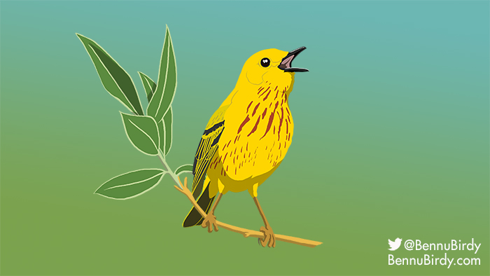 yellow_warbler.jpg