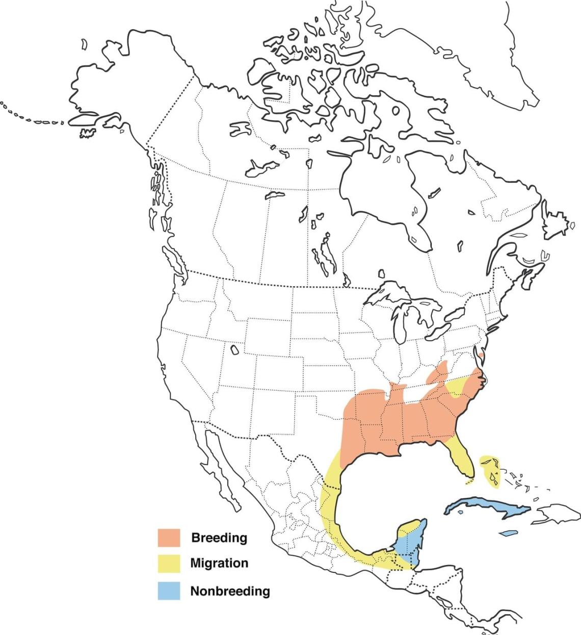 32212231-1280px.jpg